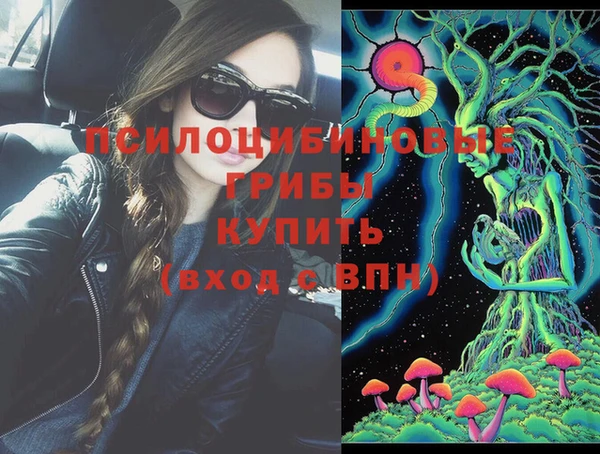 твердый Иннополис