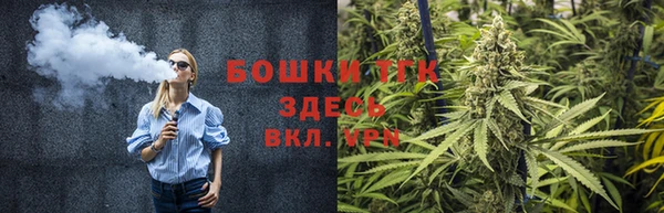 СК Зеленодольск