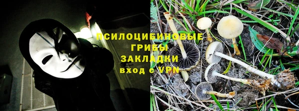 СК Зеленодольск
